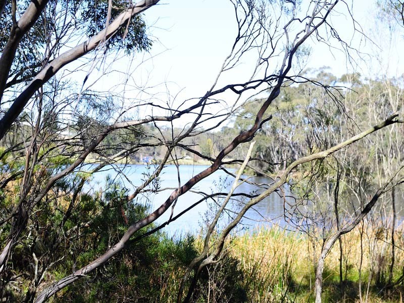 Wentworth Falls NSW 2782