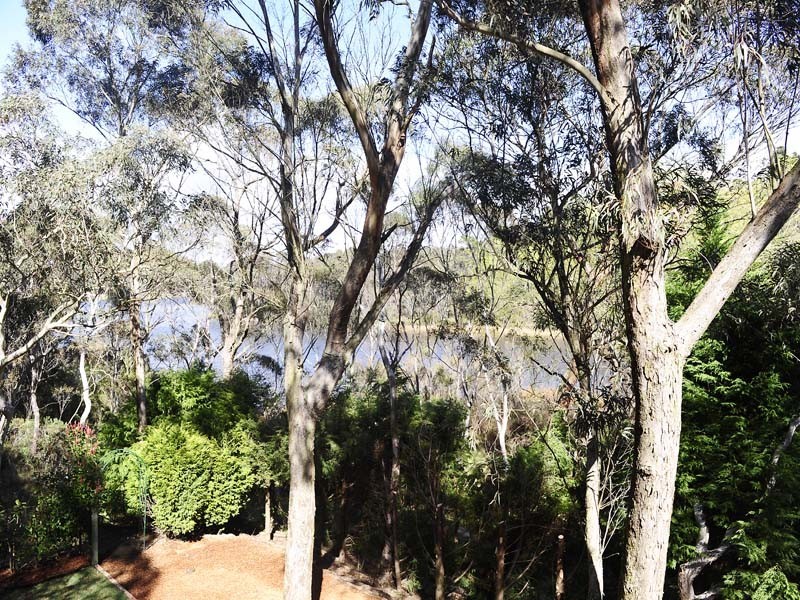 Wentworth Falls NSW 2782