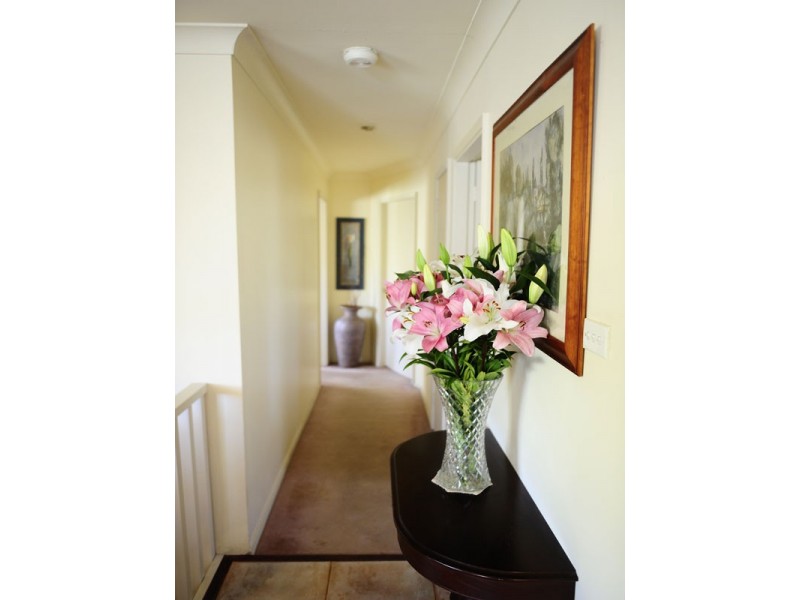 Wentworth Falls NSW 2782