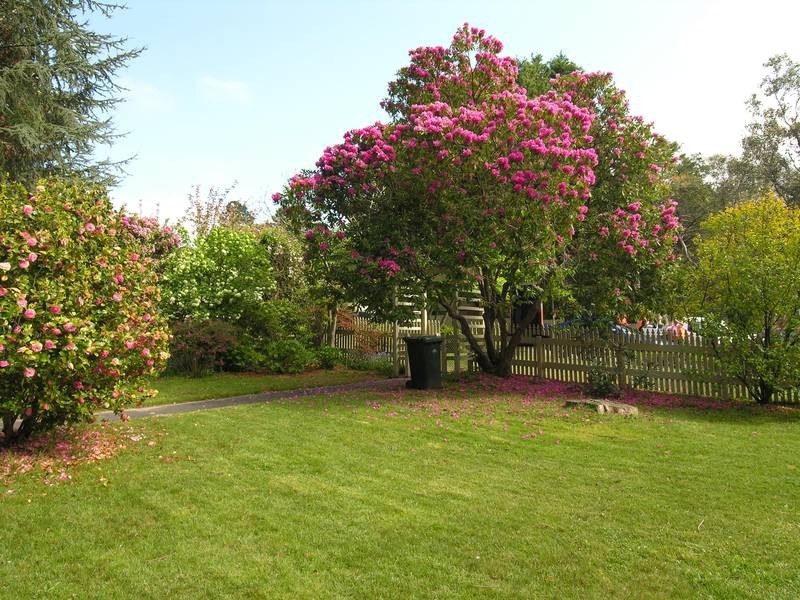 4 Armstrong Street, Wentworth Falls NSW 2782