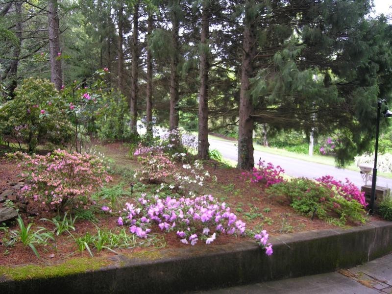 52 Jersey Avenue, Leura NSW 2780