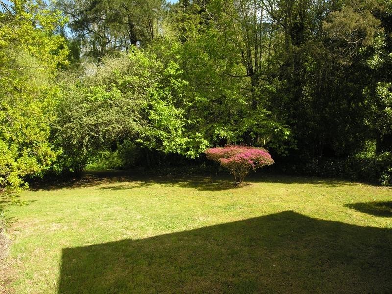 19 Spencer Street, Leura NSW 2780