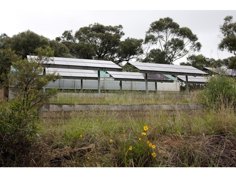 Wentworth Falls NSW 2782