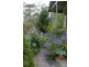 2 Balmoral Road, Leura NSW 2780