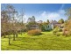 Wentworth Falls NSW 2782