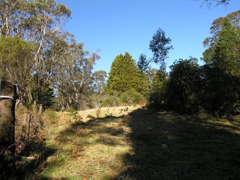 89-91 Rupert Street, Katoomba NSW 2780