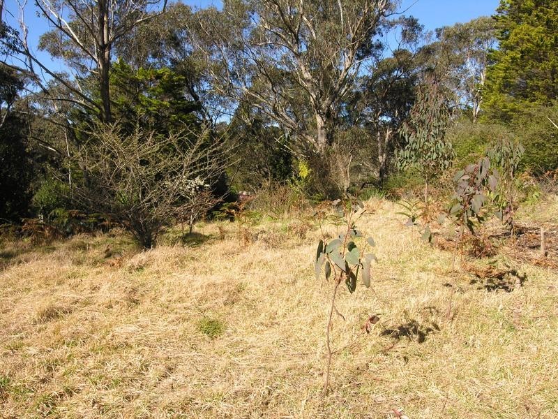 91 Rupert Street, Katoomba NSW 2780