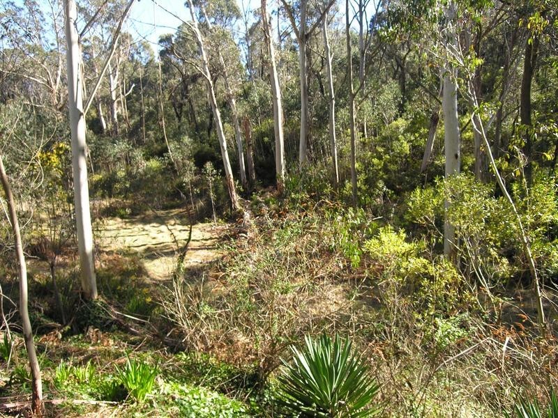 91 Rupert Street, Katoomba NSW 2780