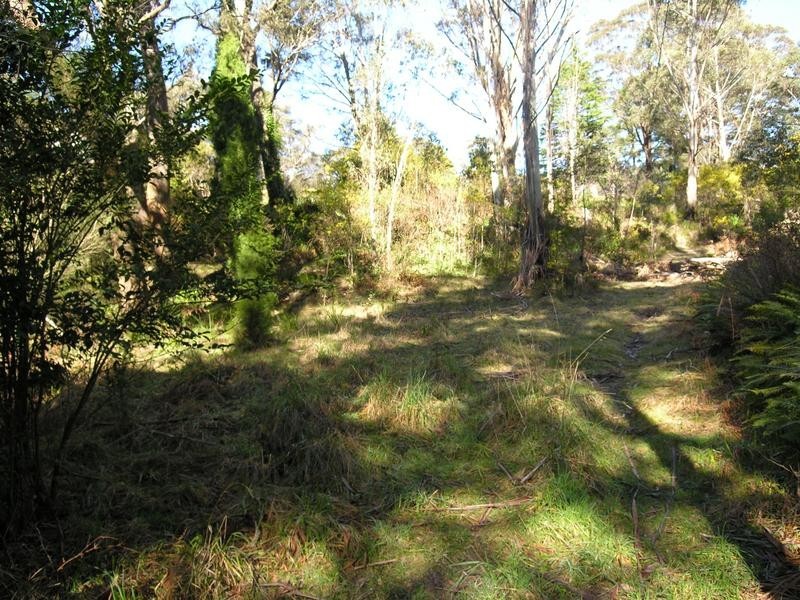 91 Rupert Street, Katoomba NSW 2780