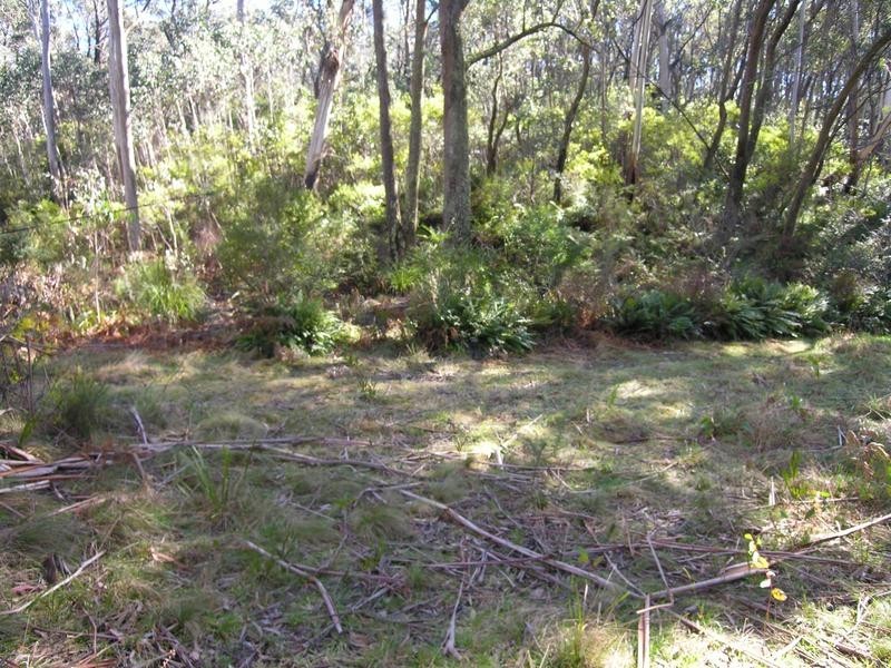 91 Rupert Street, Katoomba NSW 2780