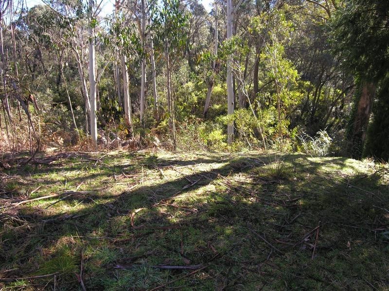 89 Rupert Street, Katoomba NSW 2780