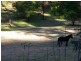 Kurrajong NSW 2758