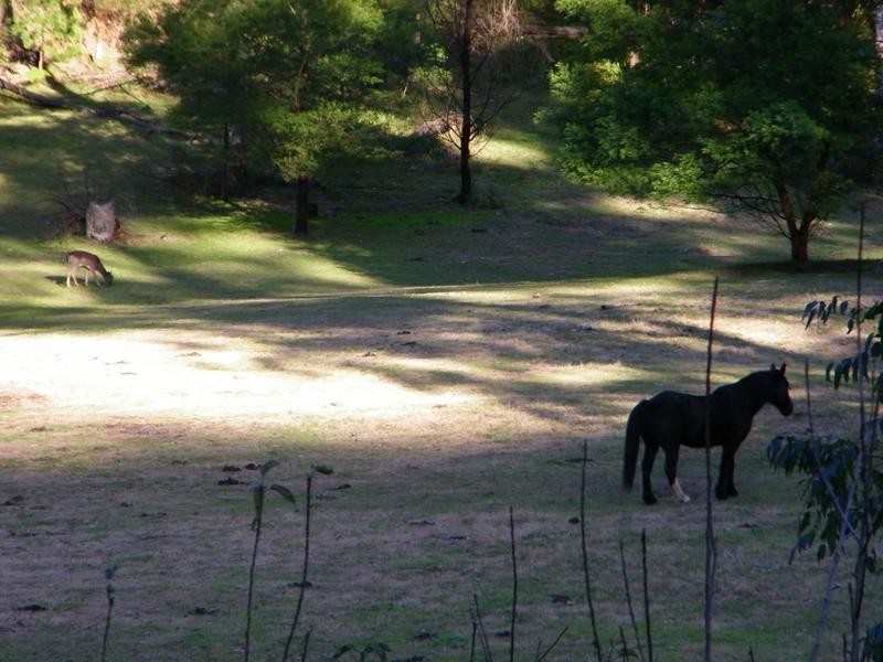 Kurrajong NSW 2758