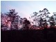 Kurrajong NSW 2758