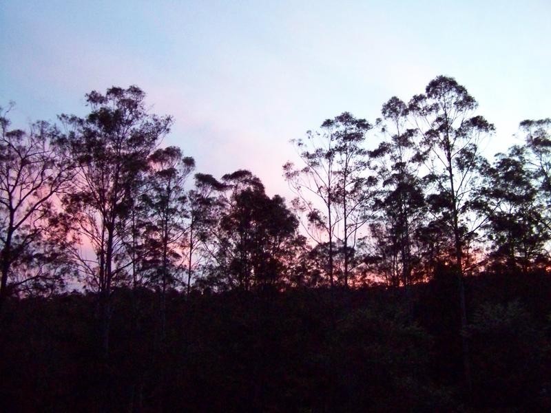Kurrajong NSW 2758
