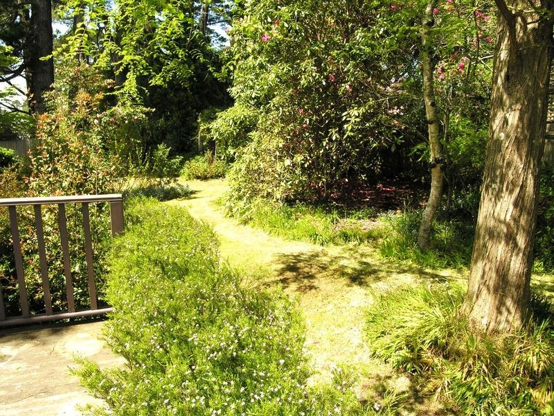 Wentworth Falls NSW 2782