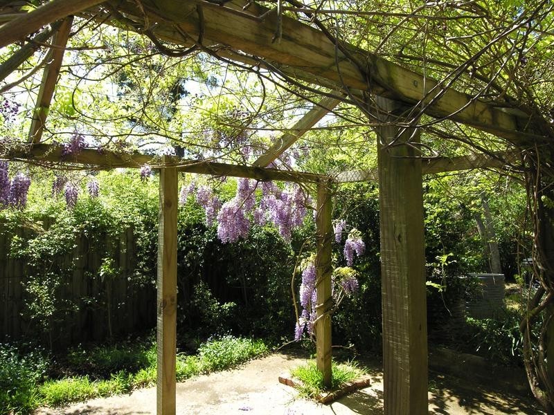 Wentworth Falls NSW 2782