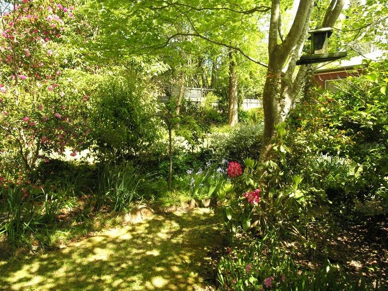 Wentworth Falls NSW 2782