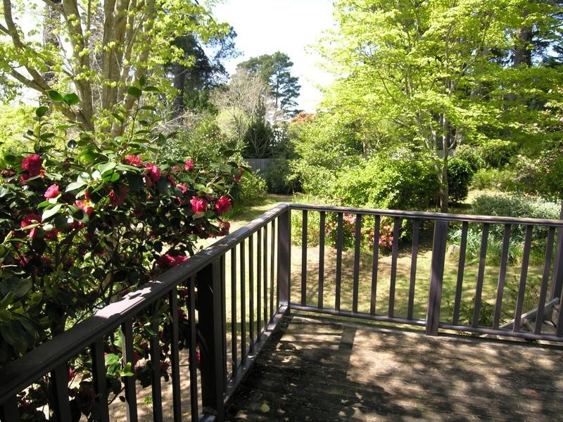 Wentworth Falls NSW 2782