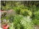 Wentworth Falls NSW 2782