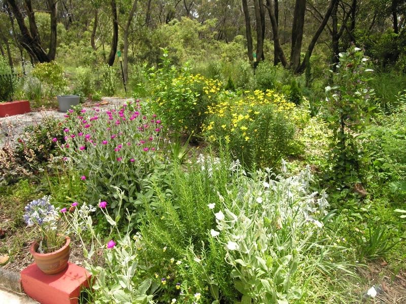 Wentworth Falls NSW 2782