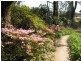 2 East View Avenue, Leura NSW 2780