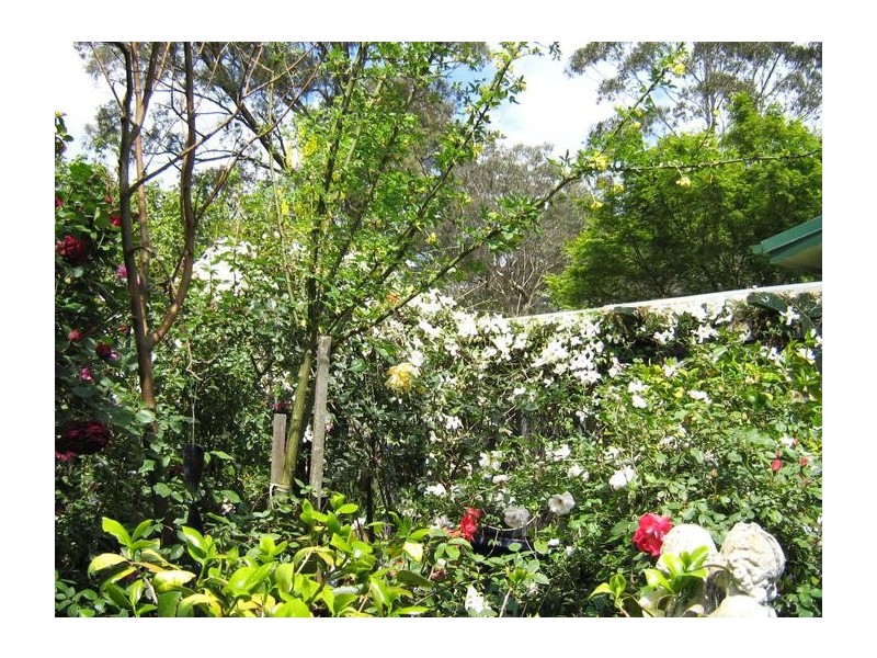 1 Myrtle Street, Katoomba NSW 2780