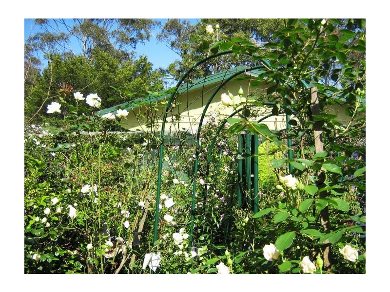 1 Myrtle Street, Katoomba NSW 2780