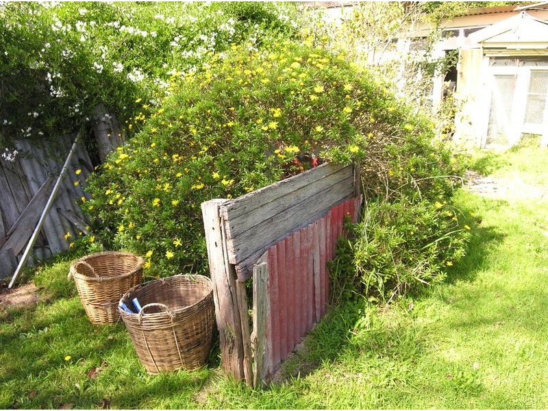 25 Leichhardt Street, Katoomba NSW 2780