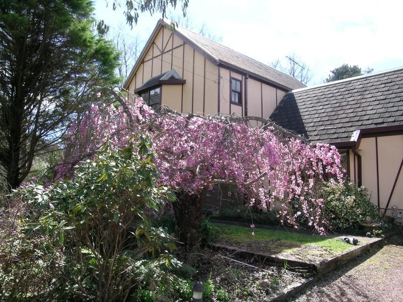 Leura NSW 2780