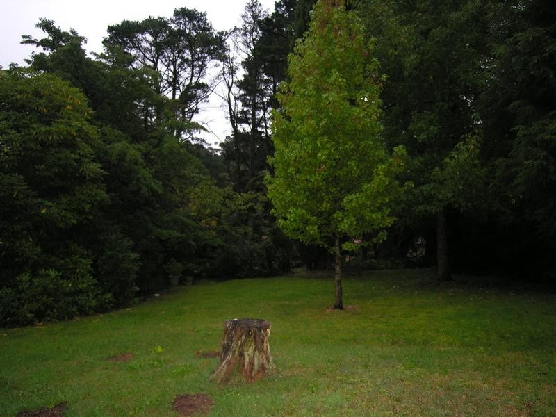 112 Megalong Street, Leura NSW 2780