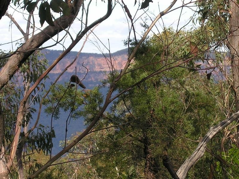 20 The Links Rd, Leura NSW 2780