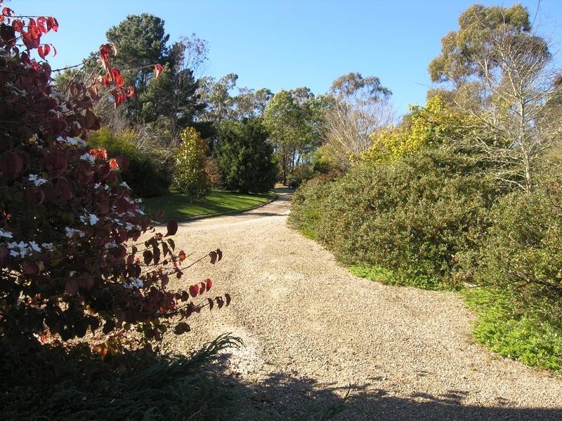 8 Thorpe Street, Katoomba NSW 2780