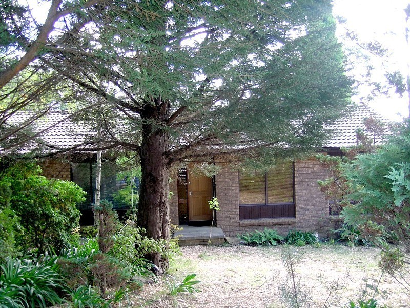 54 Godson Avenue, Blackheath NSW 2785
