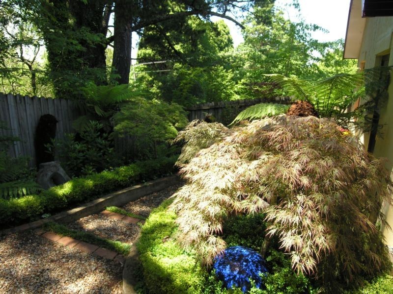 3/20 Craigend Street, Leura NSW 2780