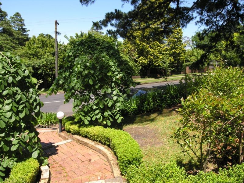 3/20 Craigend Street, Leura NSW 2780