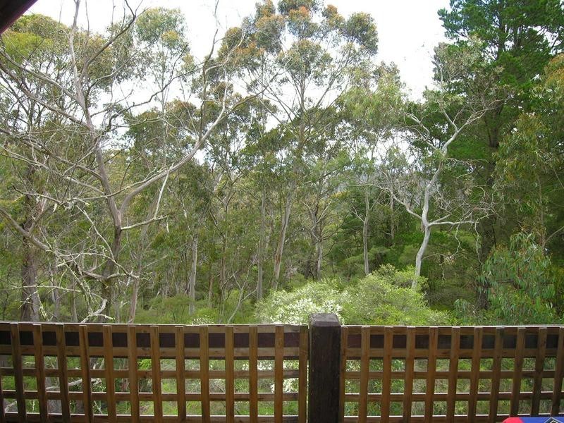 160 Victoria Street, Mount Victoria NSW 2786