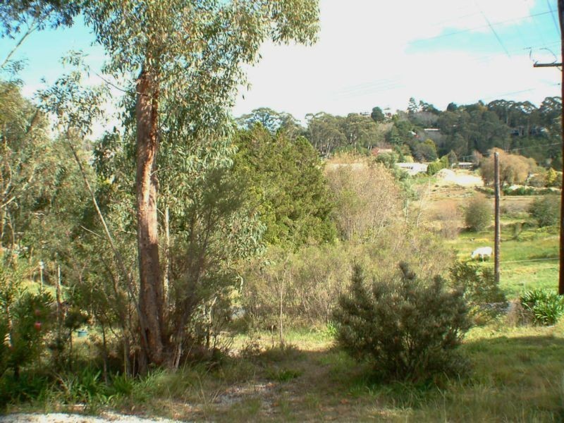 41 Kanimbla Street, Katoomba NSW 2780