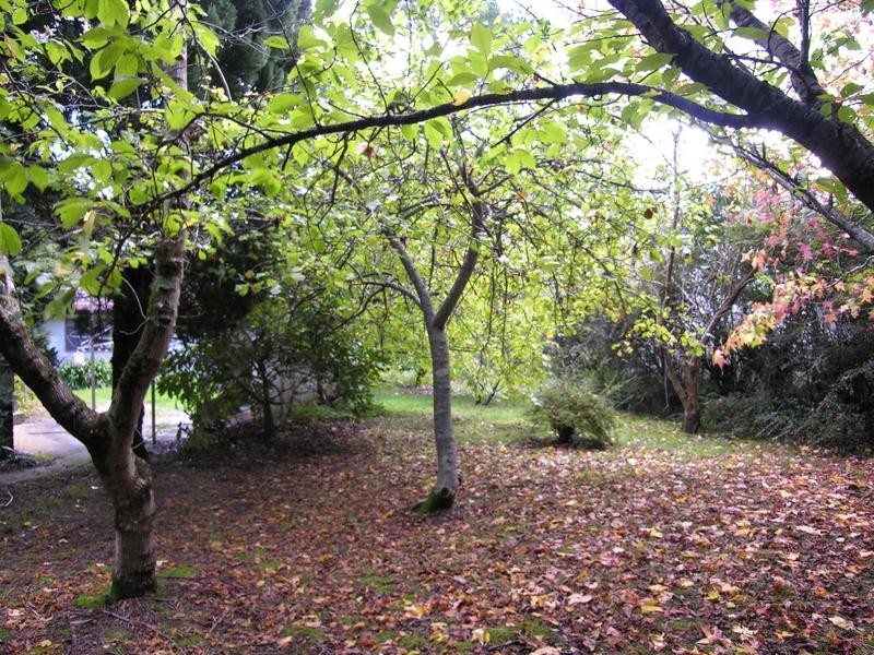 62 Victoria Street, Katoomba NSW 2780