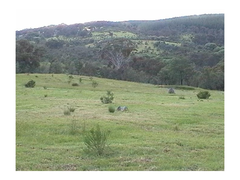 1 Main Street, Burraga NSW 2795