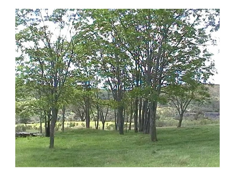 1 Main Street, Burraga NSW 2795
