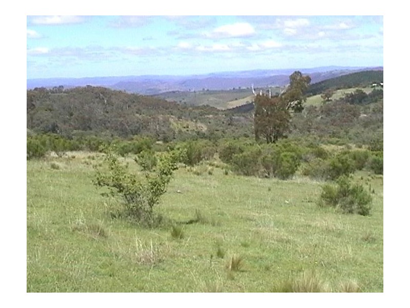 1 Main Street, Burraga NSW 2795