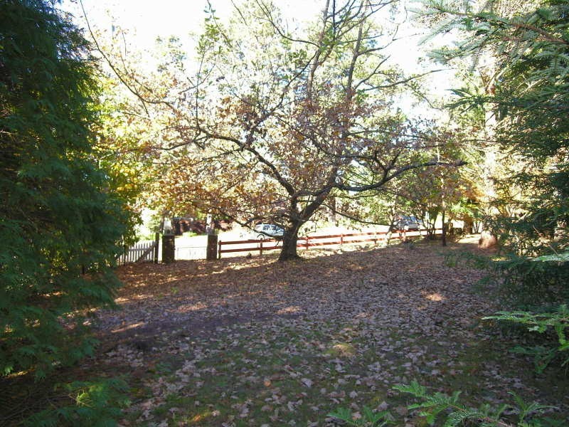 37 Cascade Street, Wentworth Falls NSW 2782