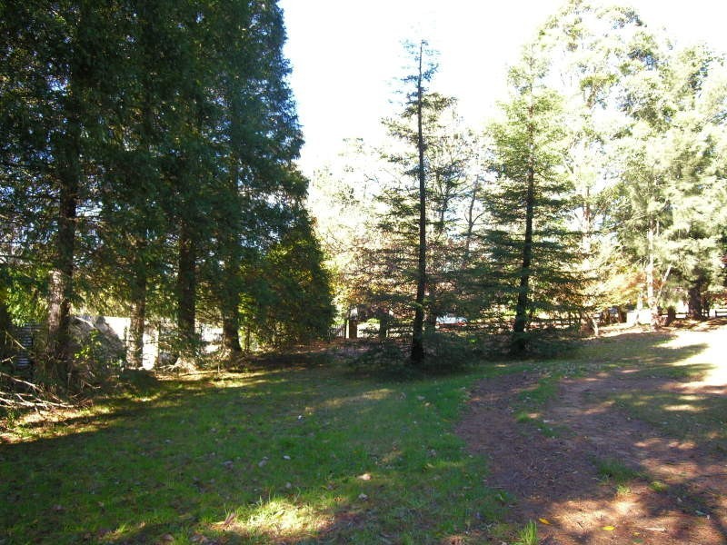 37 Cascade Street, Wentworth Falls NSW 2782