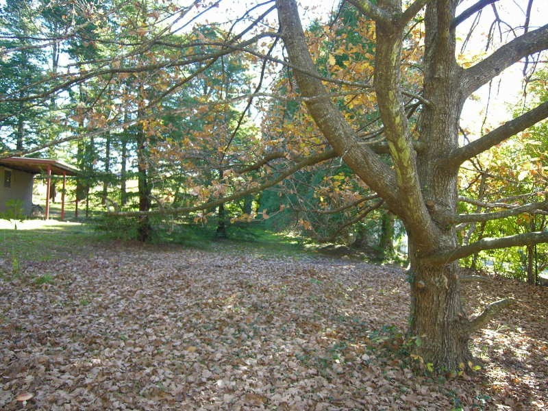 37 Cascade Street, Wentworth Falls NSW 2782