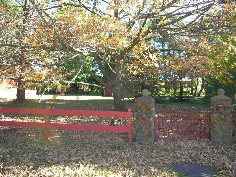 37 Cascade Street, Wentworth Falls NSW 2782