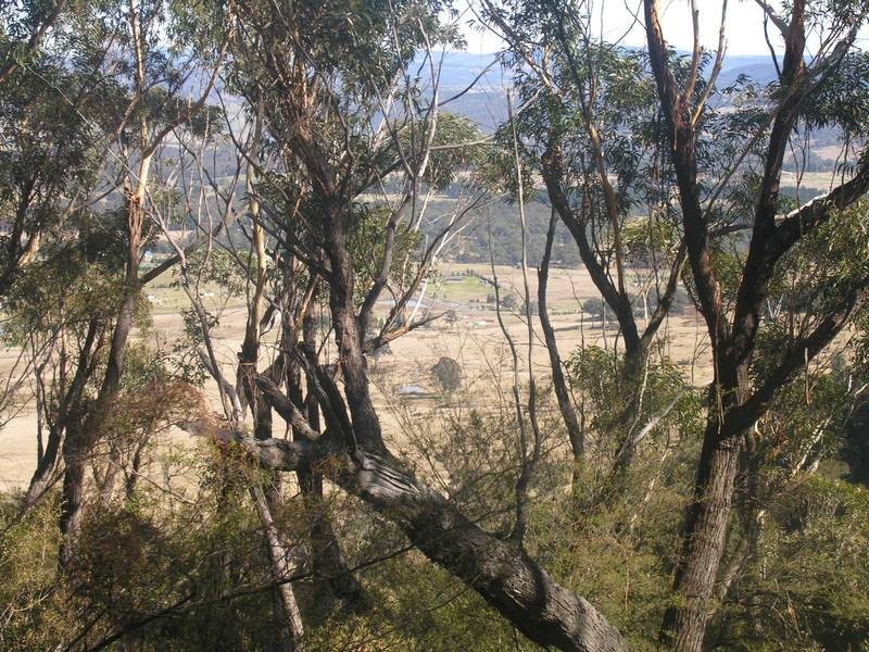 104-116 Mt York Road, Mount Victoria NSW 2786