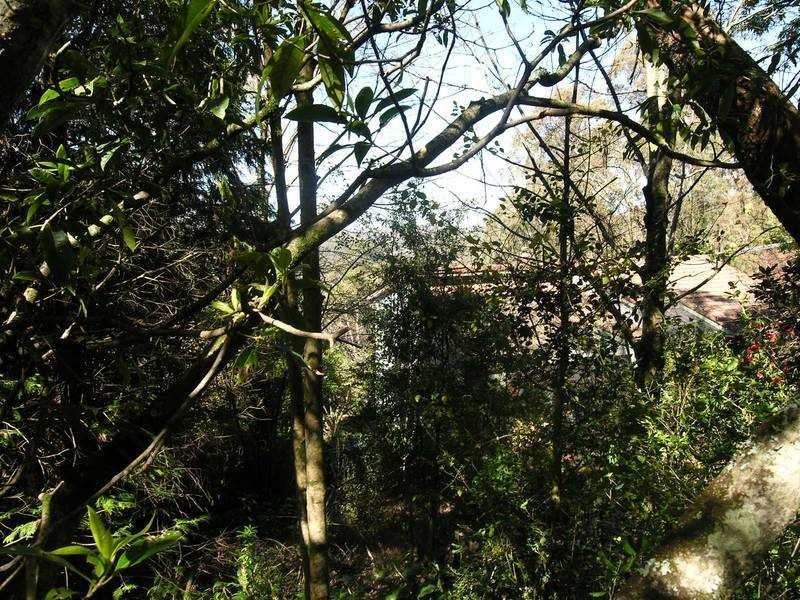 27A Henderson Road, Wentworth Falls NSW 2782