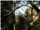 27A Henderson Road, Wentworth Falls NSW 2782