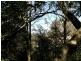 27A Henderson Road, Wentworth Falls NSW 2782
